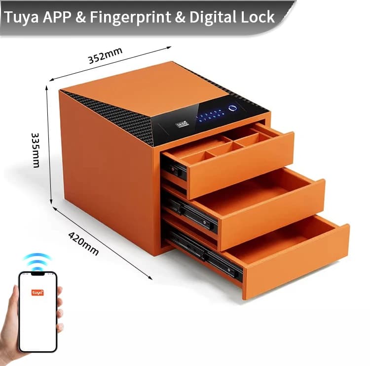 CEQSAFE Smart Jewelry Organizer with Fingerprint Lock - 3 Layers