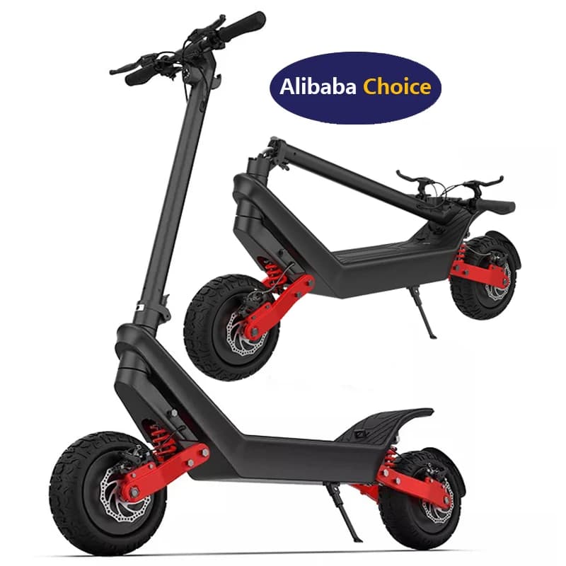 X10 Off-Road Electric Scooter with Dual Motor & 11-Inch Tires